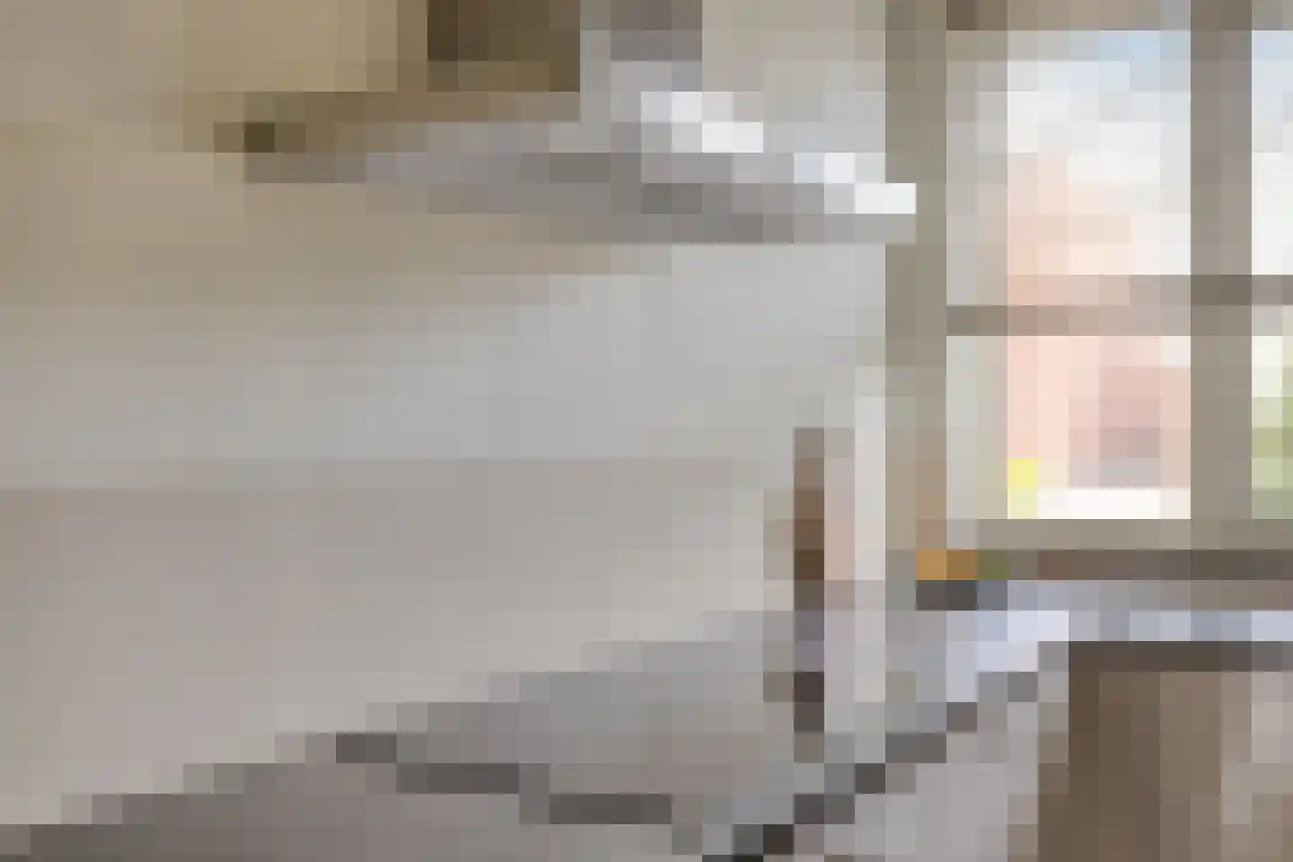 Tesselmansgoed 3 Maasbree thumbnail 15