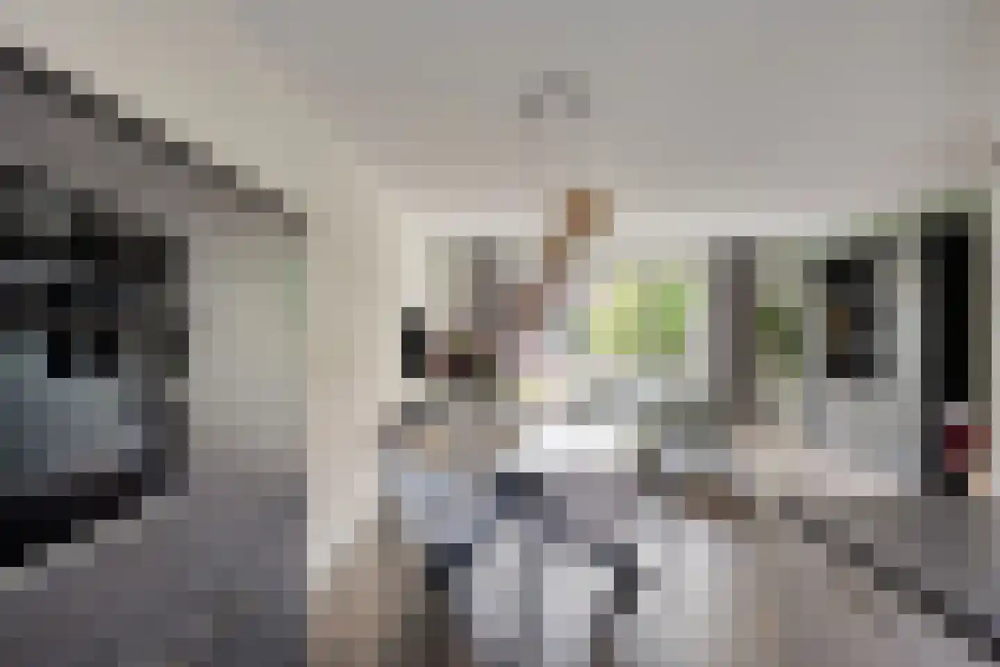 Tesselmansgoed 3 Maasbree thumbnail 16