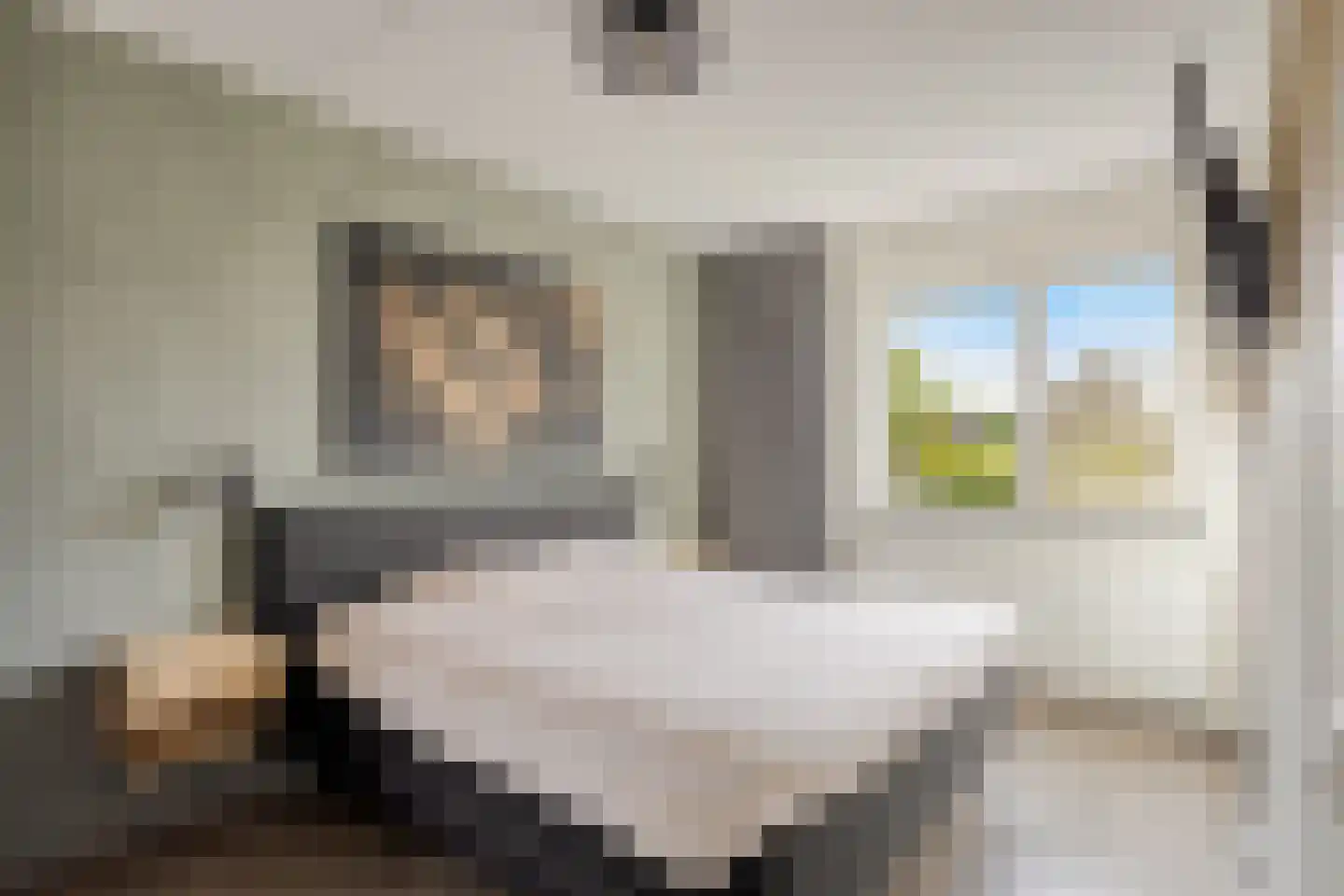 Tesselmansgoed 3 Maasbree thumbnail 18