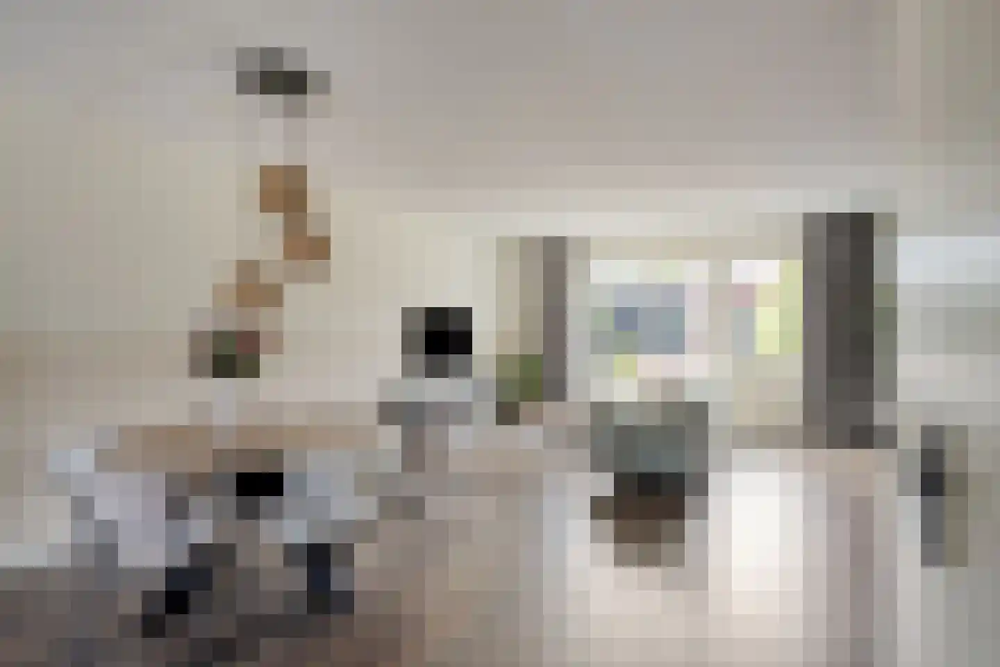 Tesselmansgoed 3 Maasbree thumbnail 7