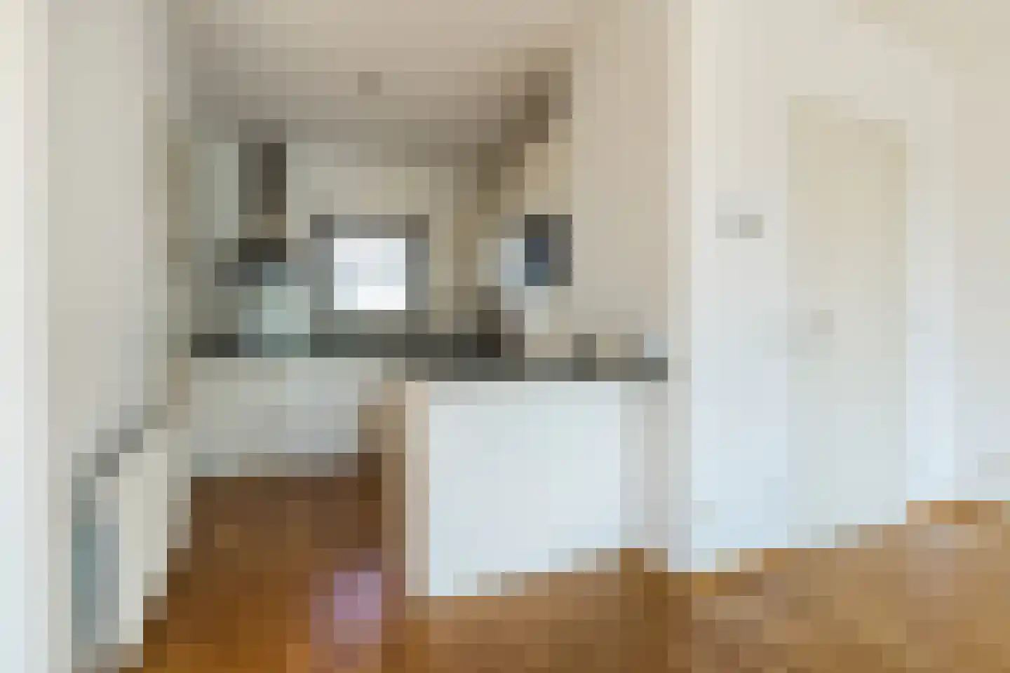 Tesselschadelaan 12 Eindhoven thumbnail 15