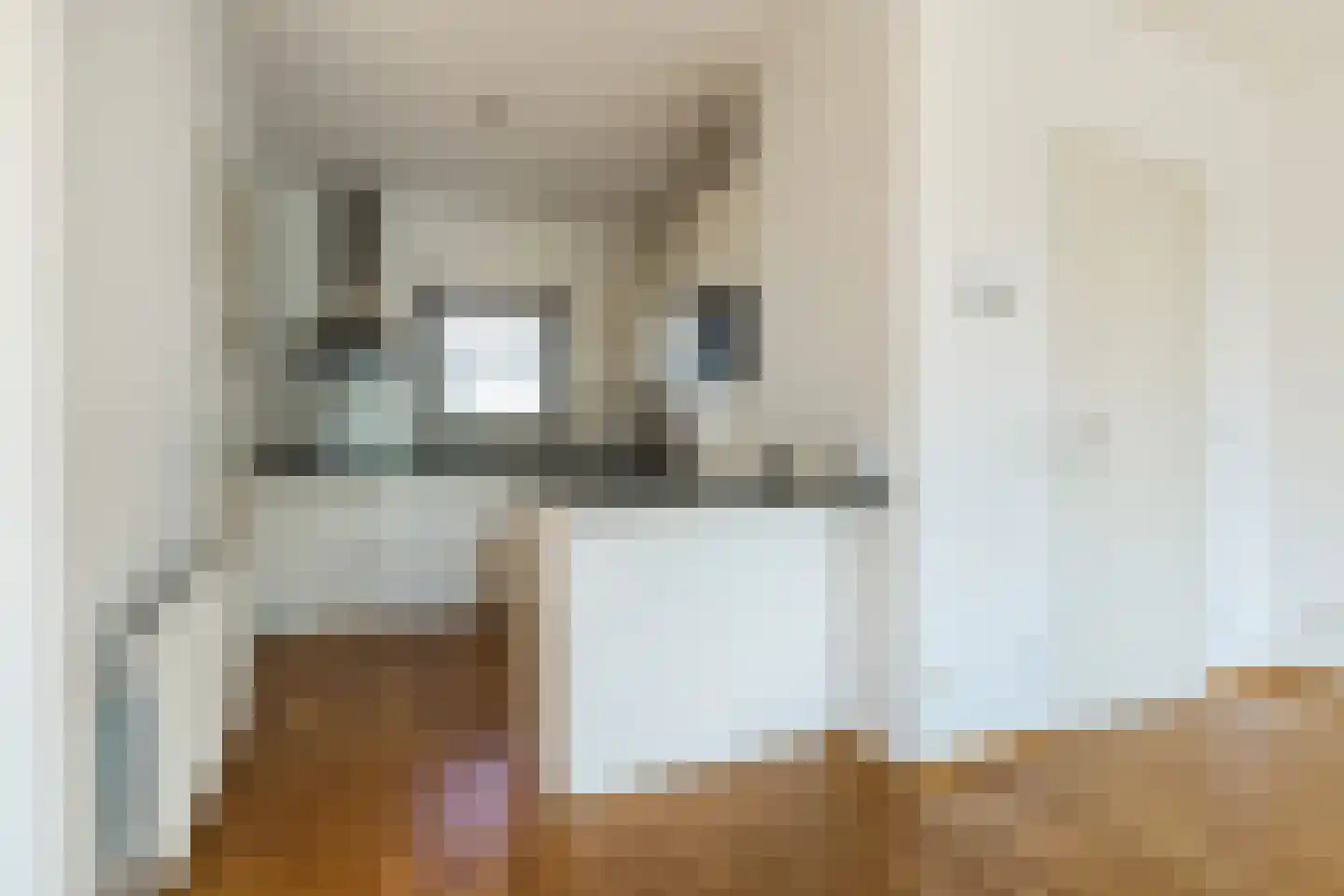 Tesselschadelaan 12 Eindhoven thumbnail 15