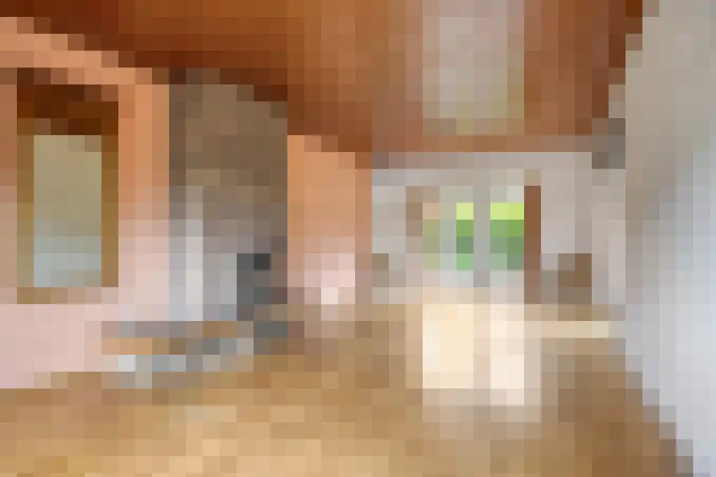 Tesselschadelaan 14 Bussum thumbnail 11