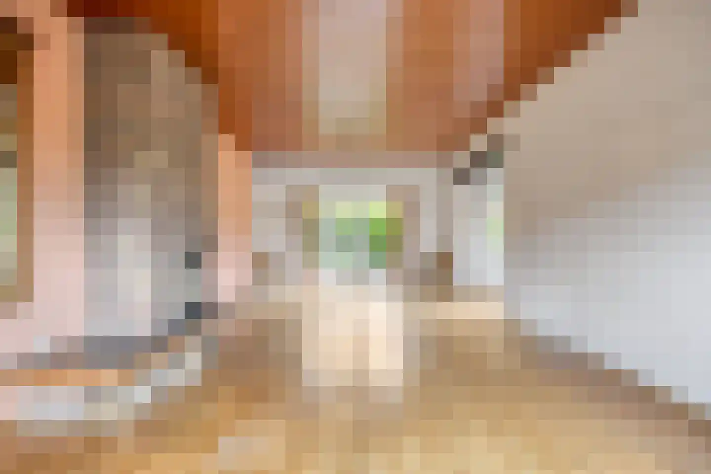 Tesselschadelaan 14 Bussum thumbnail 12