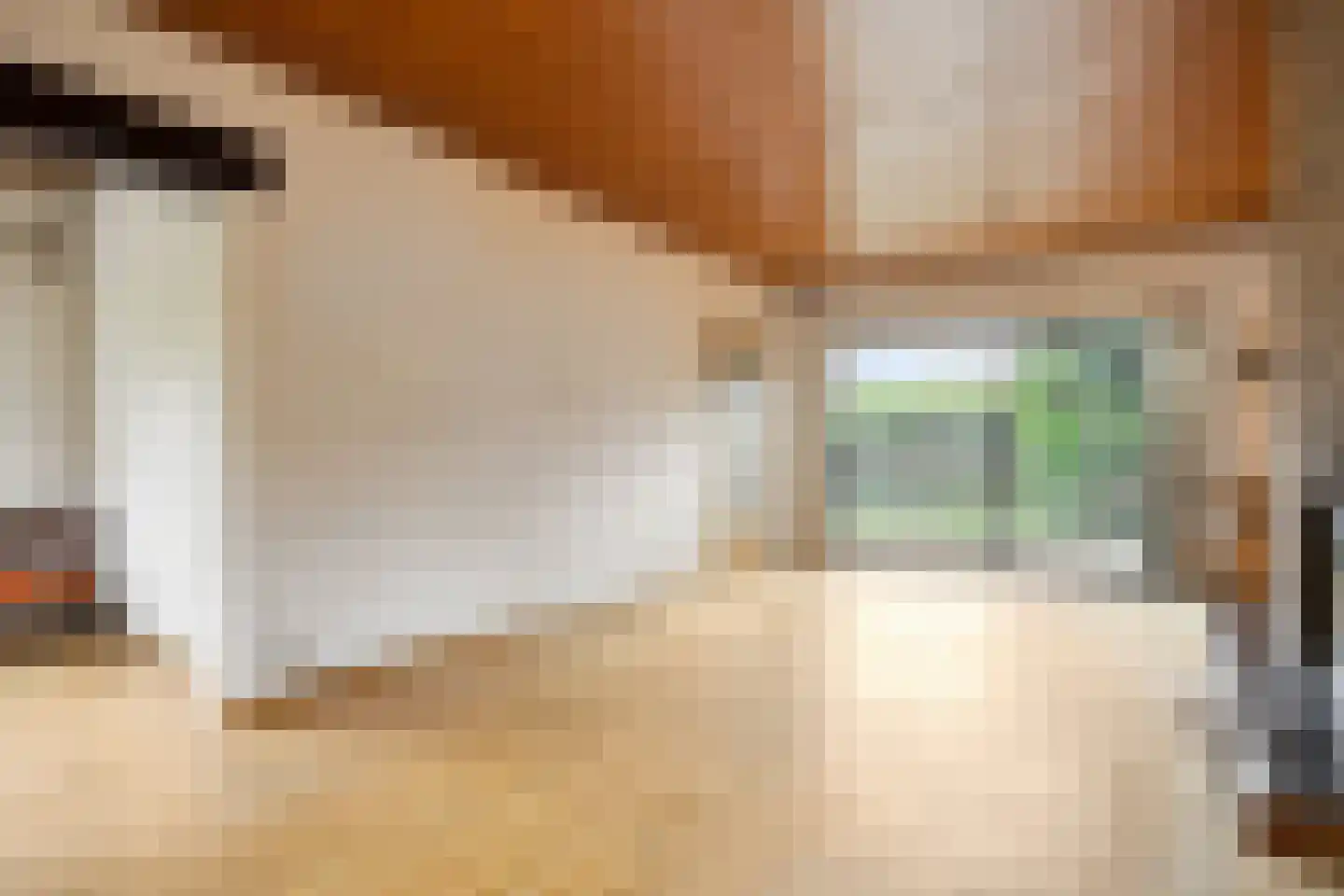 Tesselschadelaan 14 Bussum thumbnail 13