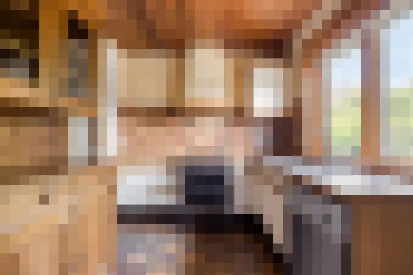 Tesselschadelaan 14 Bussum thumbnail 18