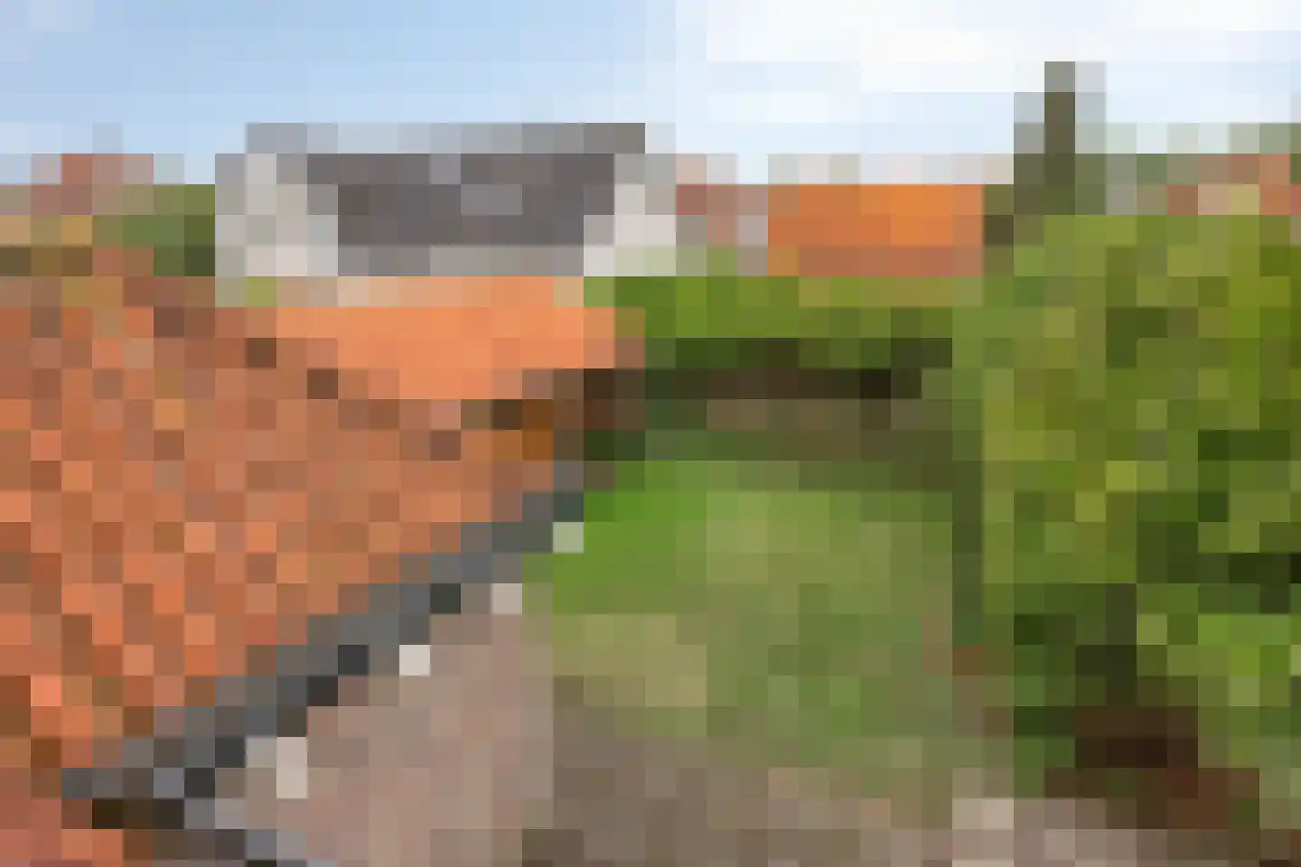 Tesselschadelaan 14 Bussum thumbnail 23