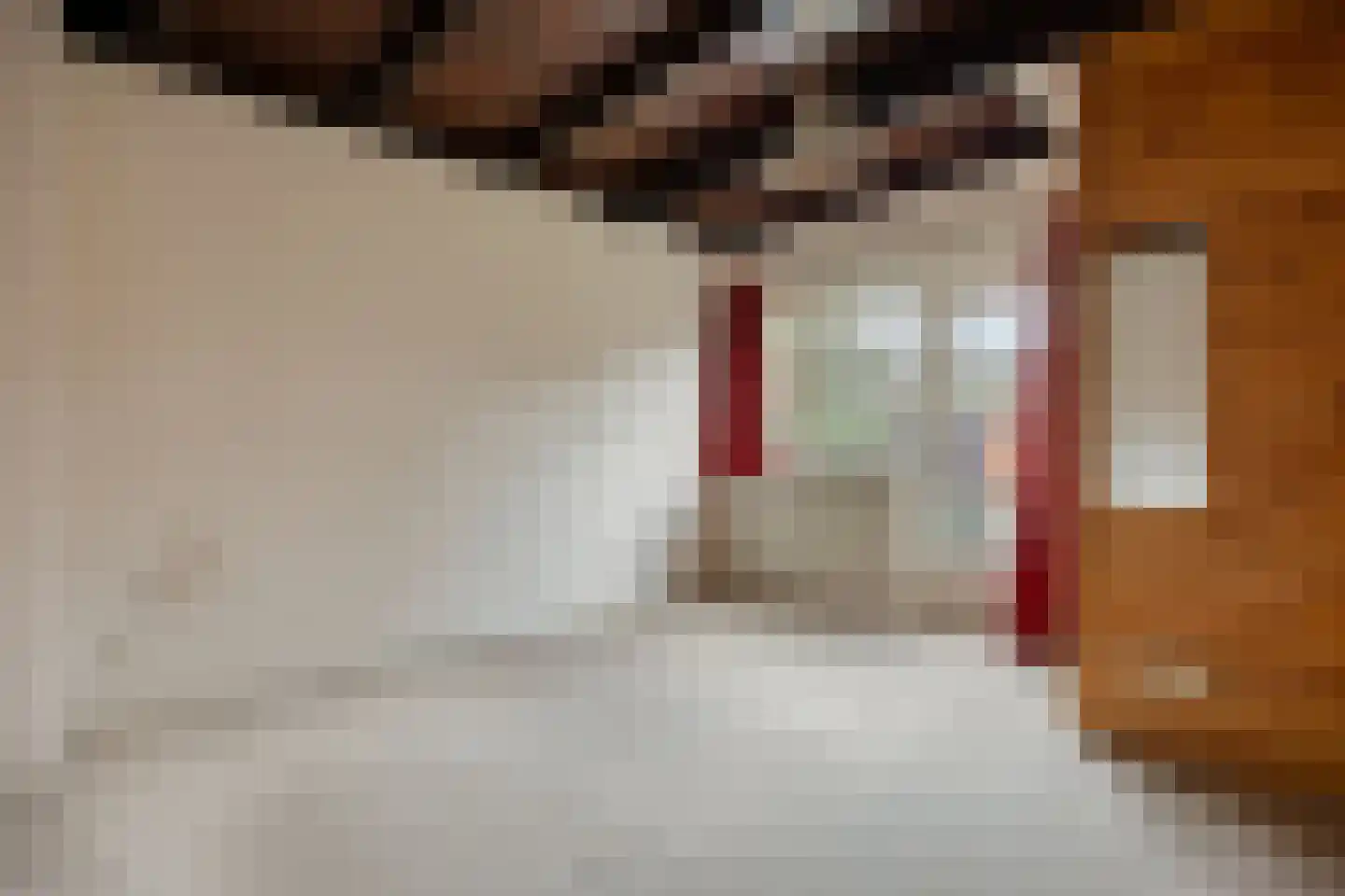 Tesselschadelaan 14 Bussum thumbnail 26