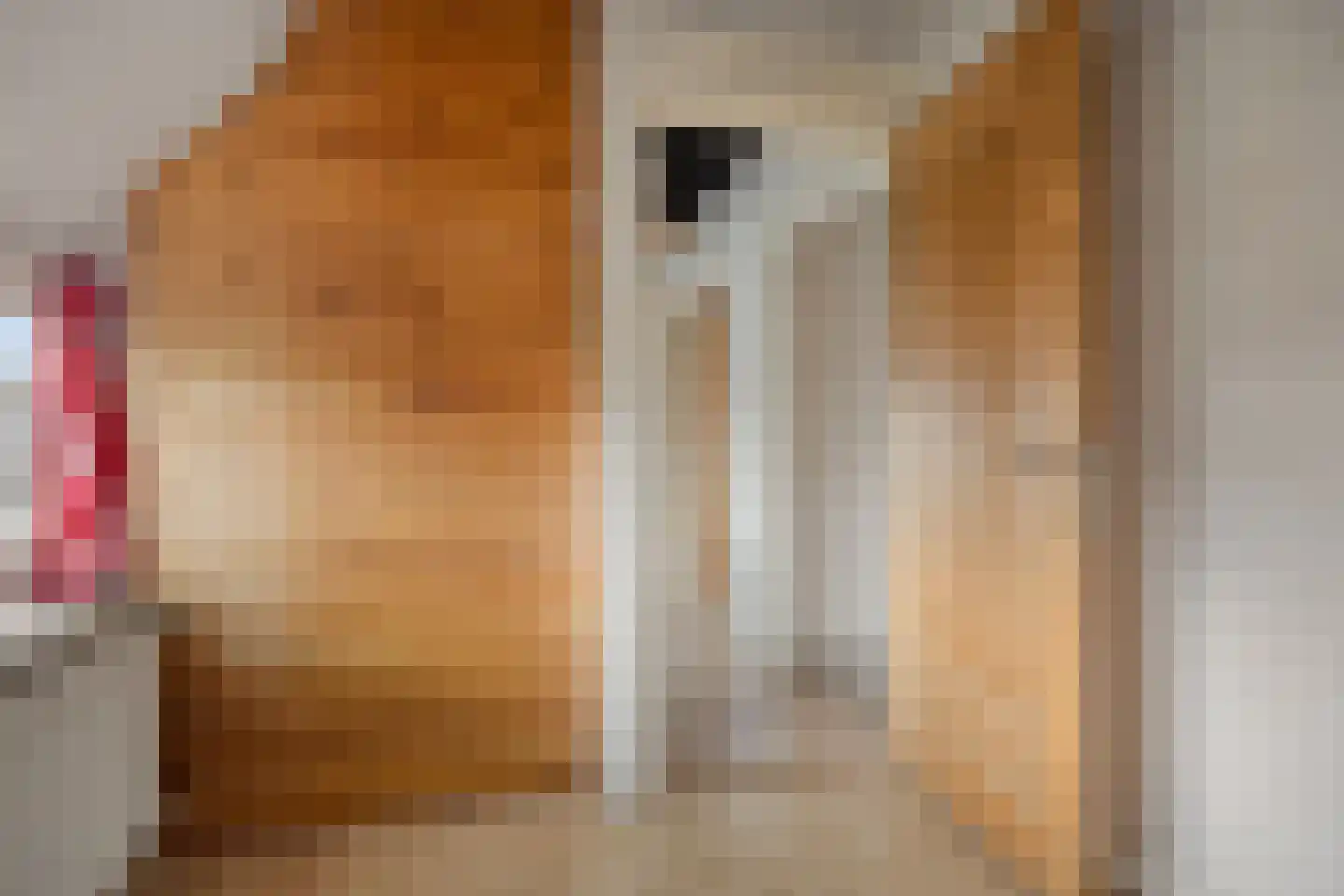 Tesselschadelaan 14 Bussum thumbnail 30
