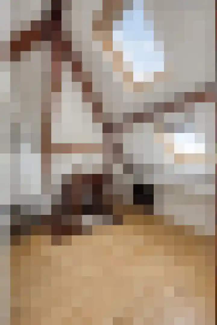 Tesselschadelaan 14 Bussum thumbnail 31