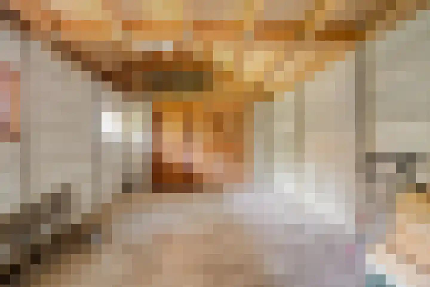 Tesselschadelaan 14 Bussum thumbnail 36