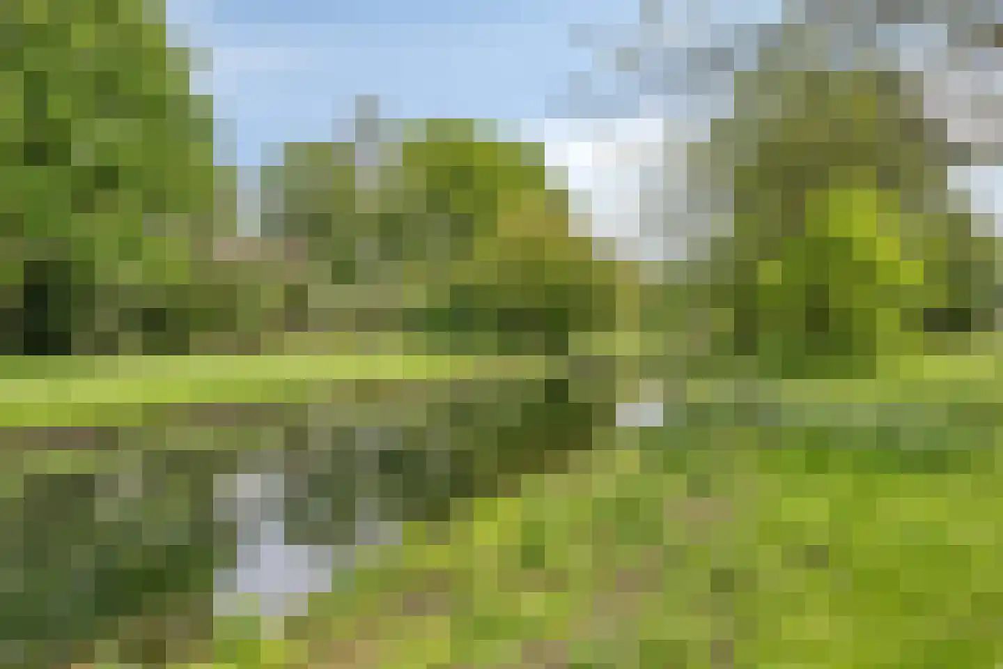 Tesselschadelaan 14 Bussum thumbnail 41