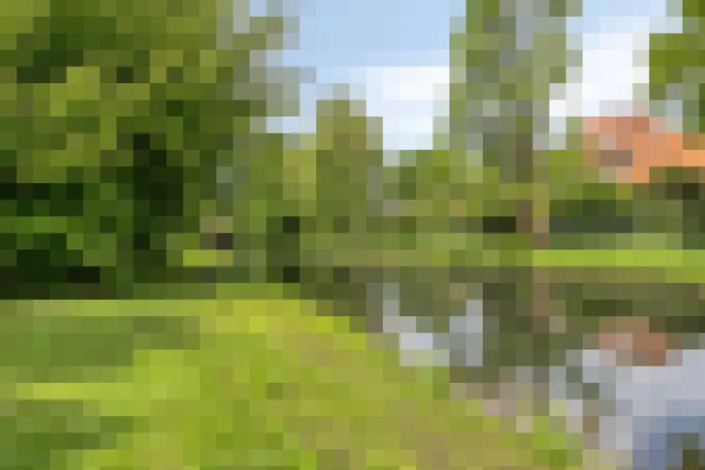 Tesselschadelaan 14 Bussum thumbnail 42