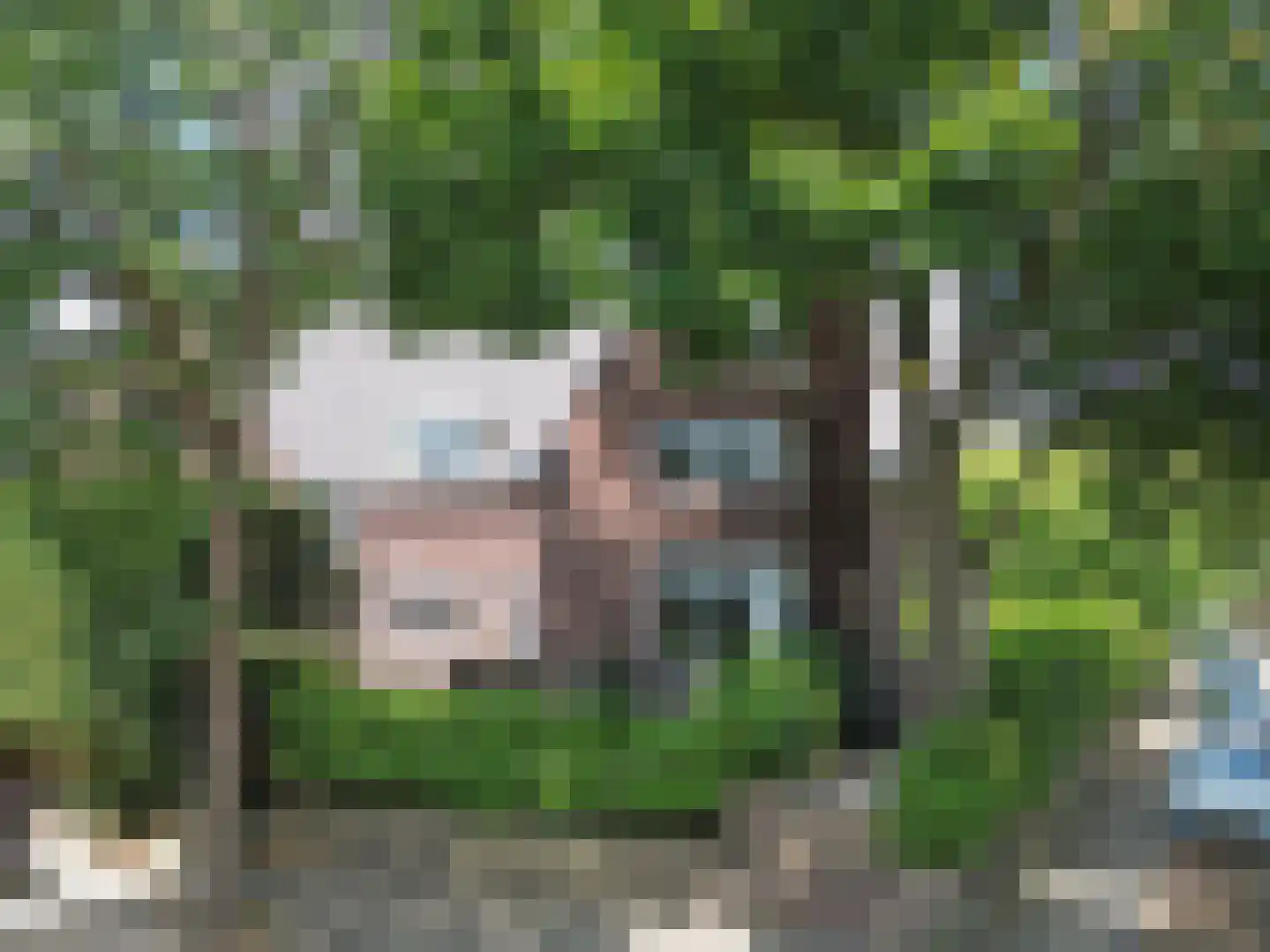 Tesselschadelaan 15 in Hilversum