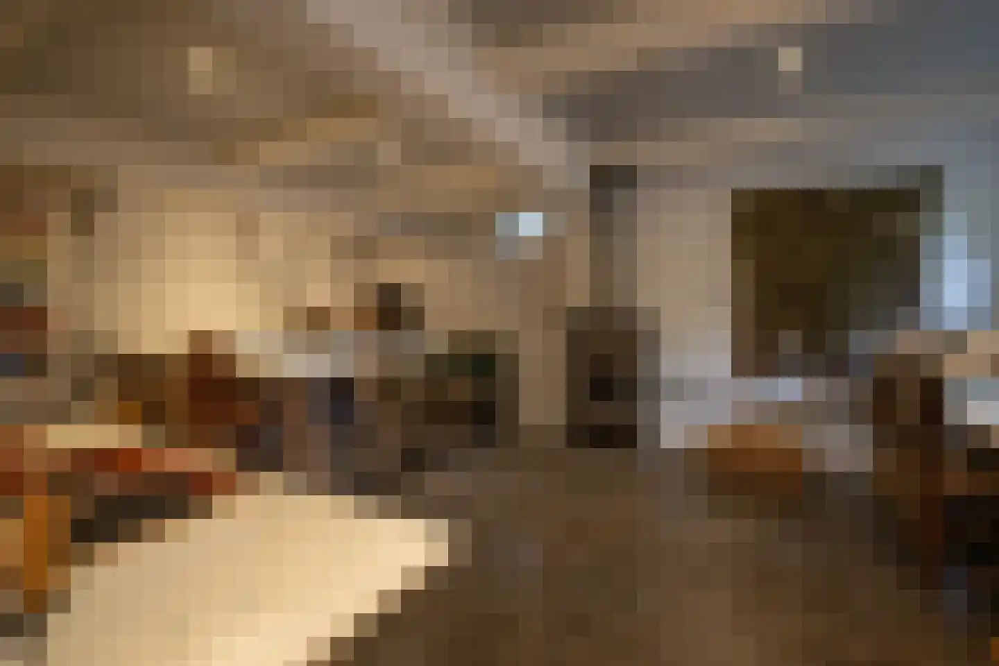 Tesselschadelaan 15 Hilversum thumbnail 14