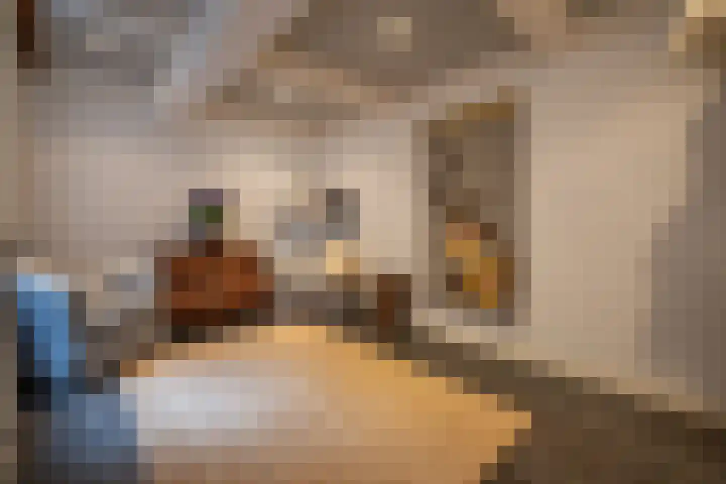 Tesselschadelaan 15 Hilversum thumbnail 17