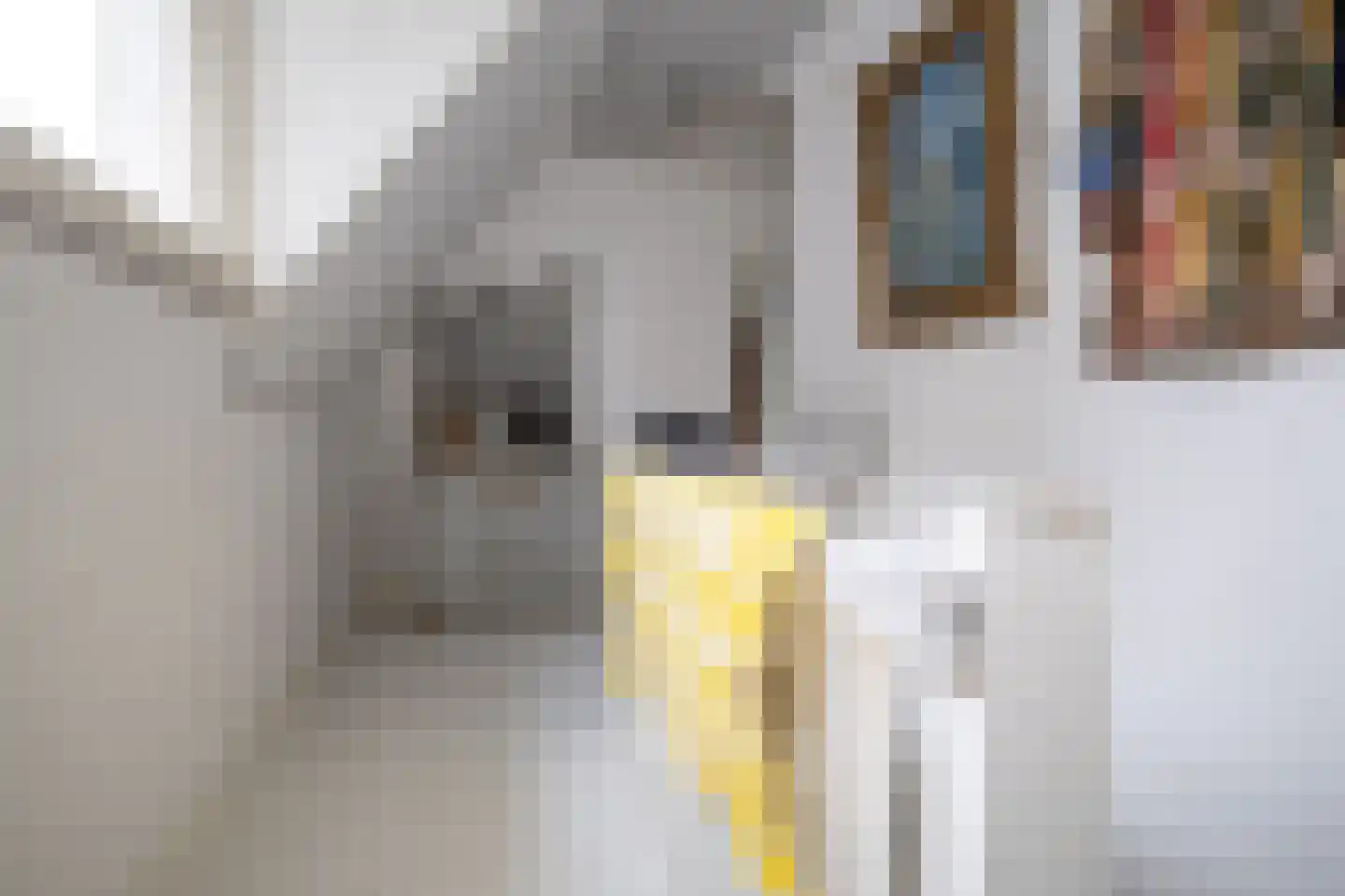 Tesselschadelaan 15 Hilversum thumbnail 25