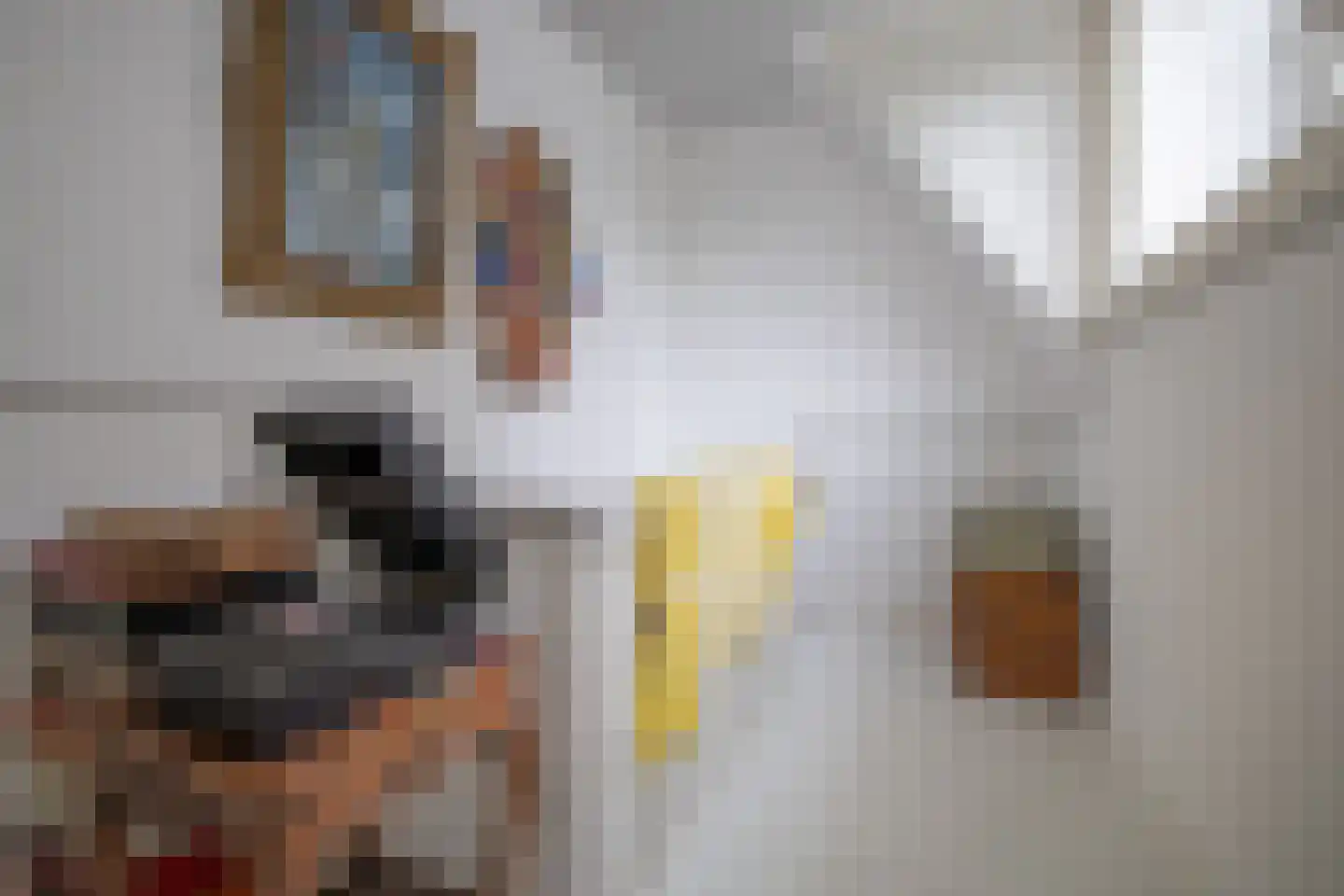 Tesselschadelaan 15 Hilversum thumbnail 26