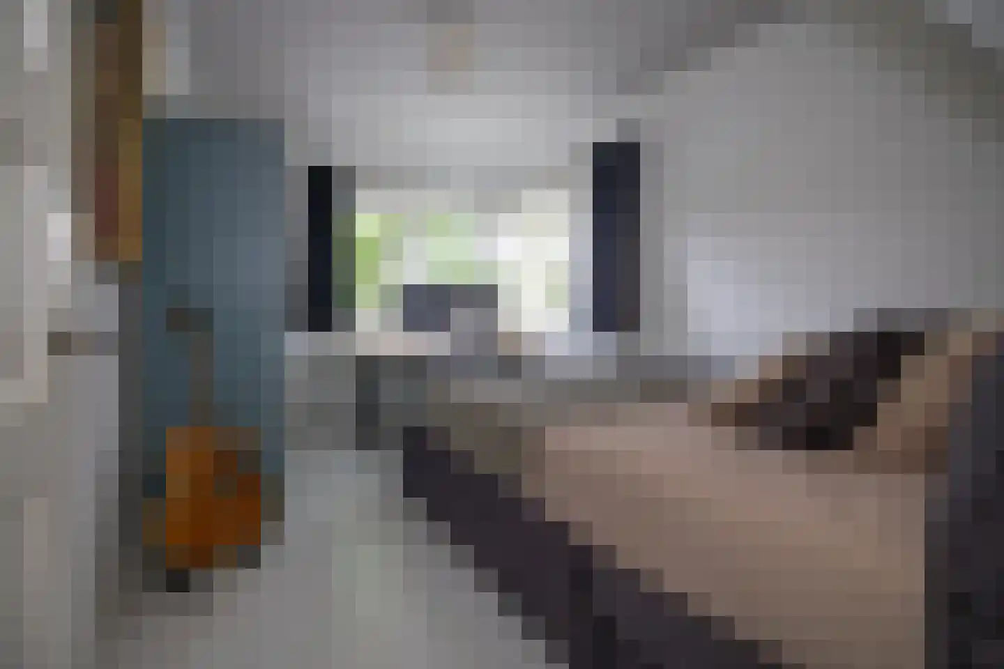Tesselschadelaan 15 Hilversum thumbnail 34