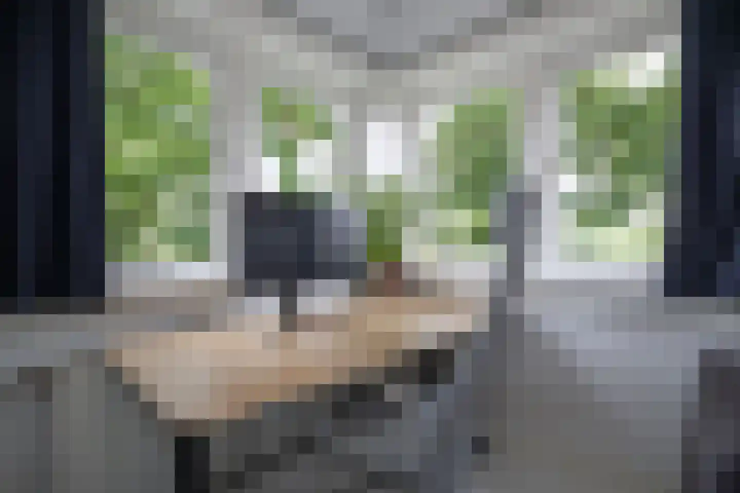 Tesselschadelaan 15 Hilversum thumbnail 35
