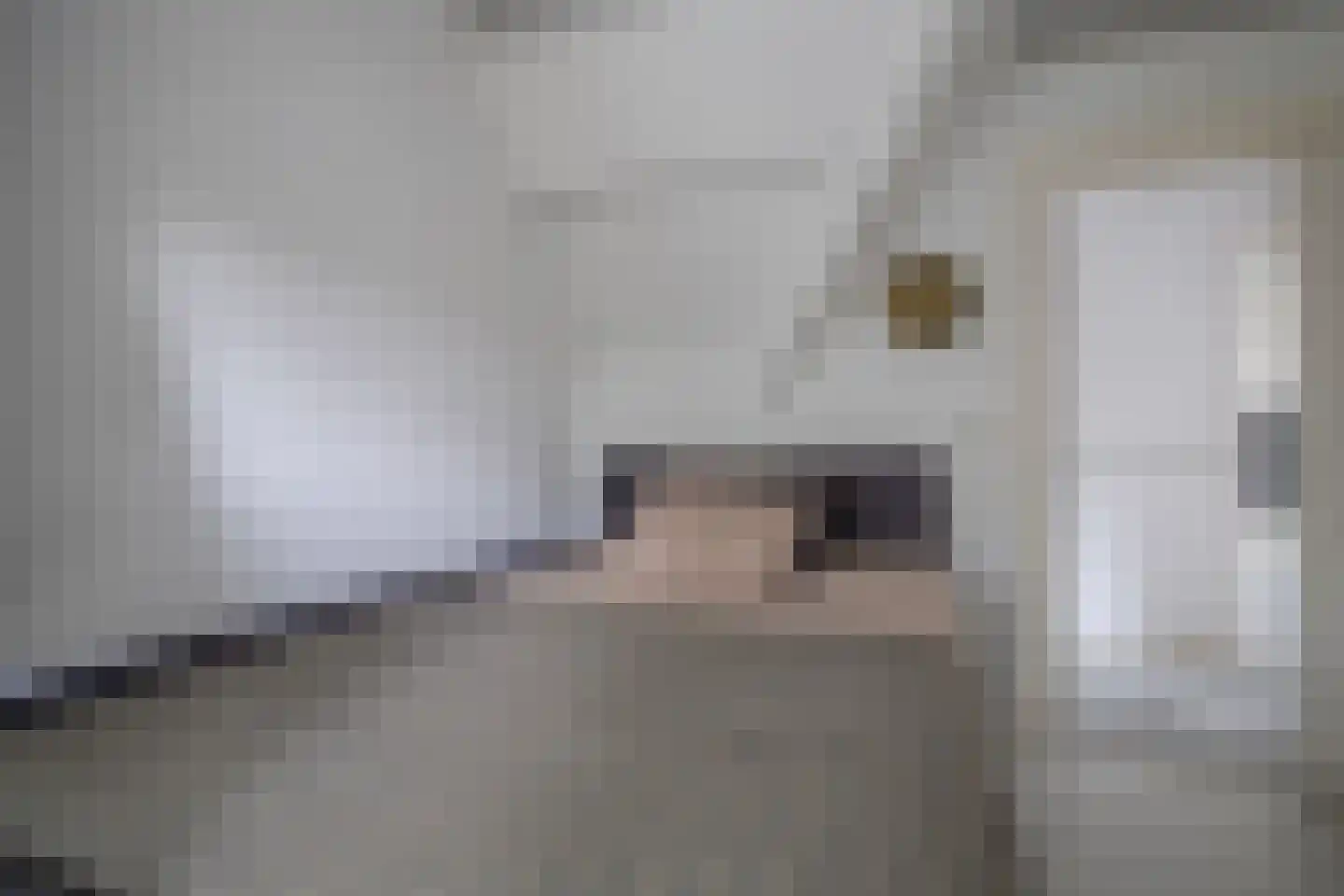 Tesselschadelaan 15 Hilversum thumbnail 36