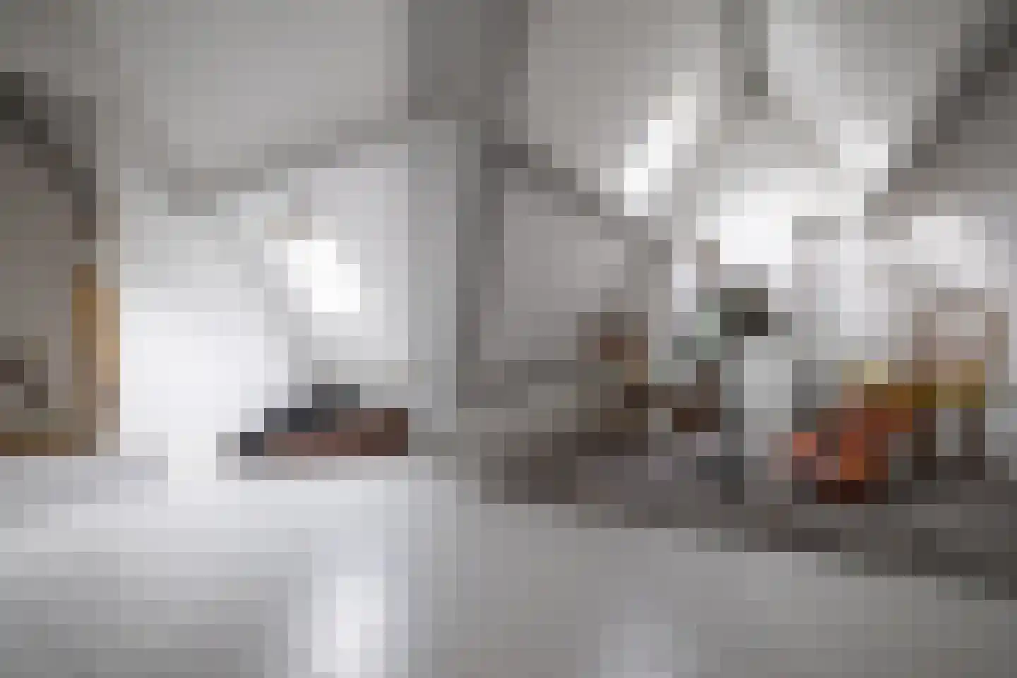 Tesselschadelaan 15 Hilversum thumbnail 38