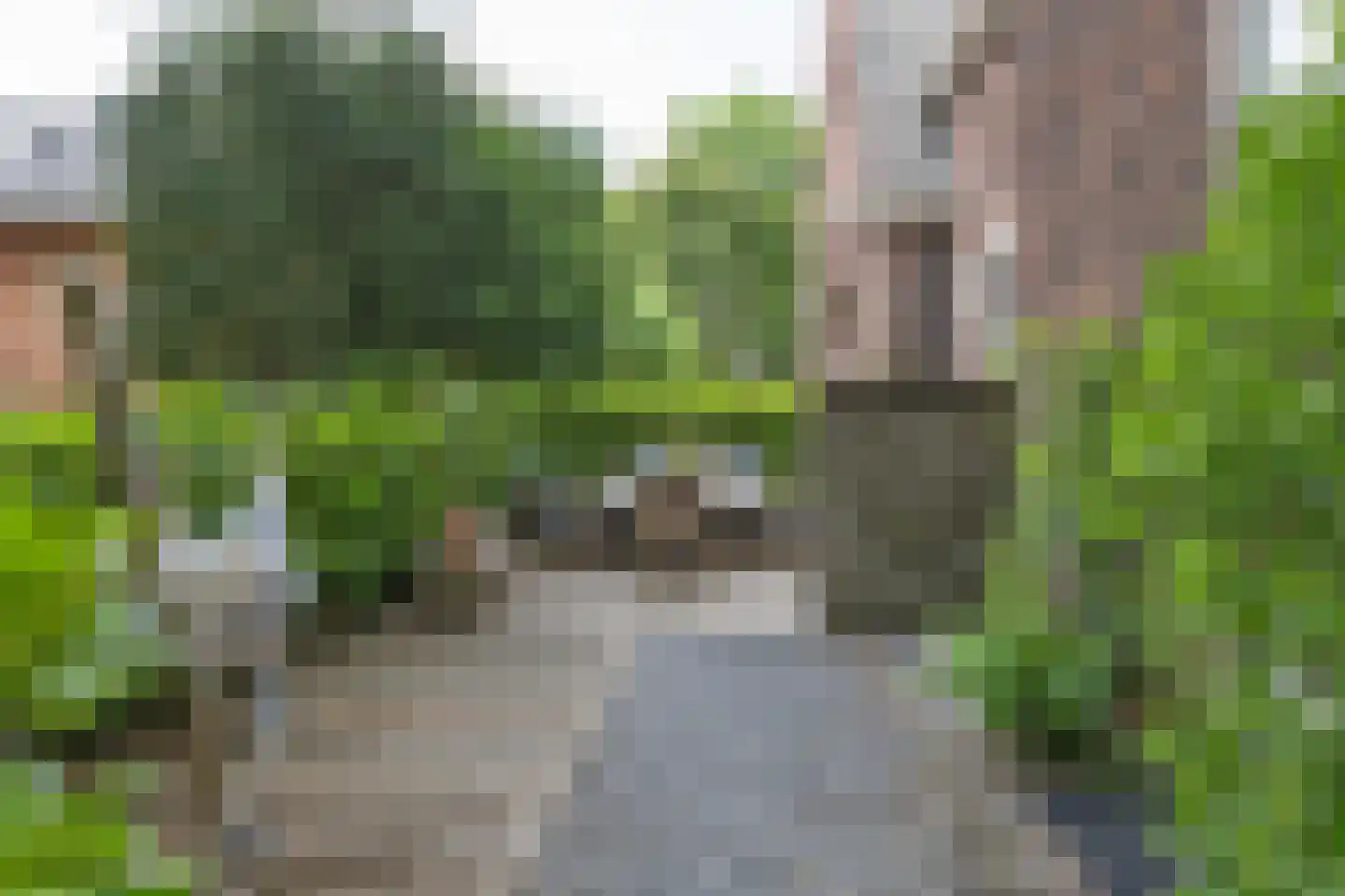Tesselschadelaan 15 Hilversum thumbnail 41
