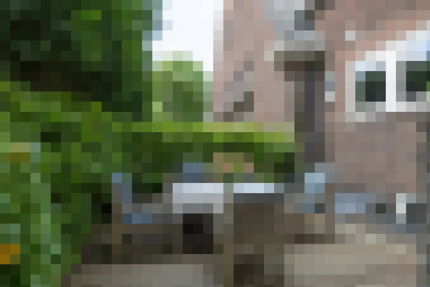 Tesselschadelaan 15 Hilversum thumbnail 42