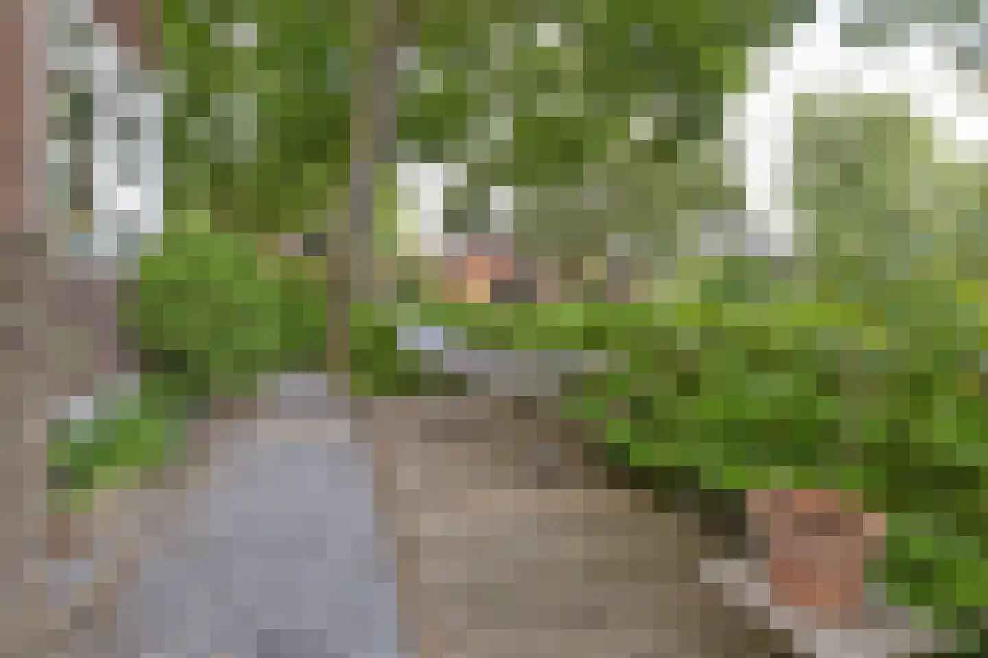 Tesselschadelaan 15 Hilversum thumbnail 44