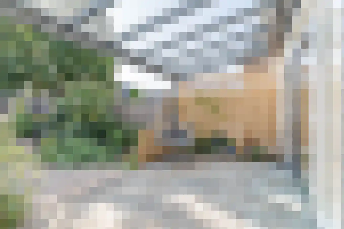 Tesselschadelaan 15 Waddinxveen thumbnail 10