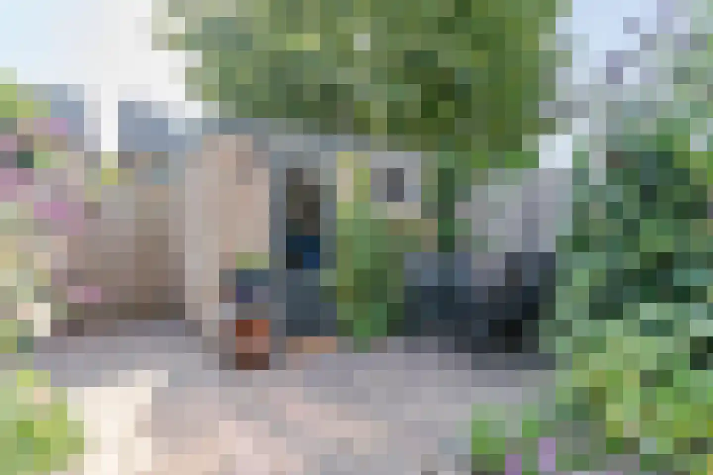 Tesselschadelaan 15 Waddinxveen thumbnail 12