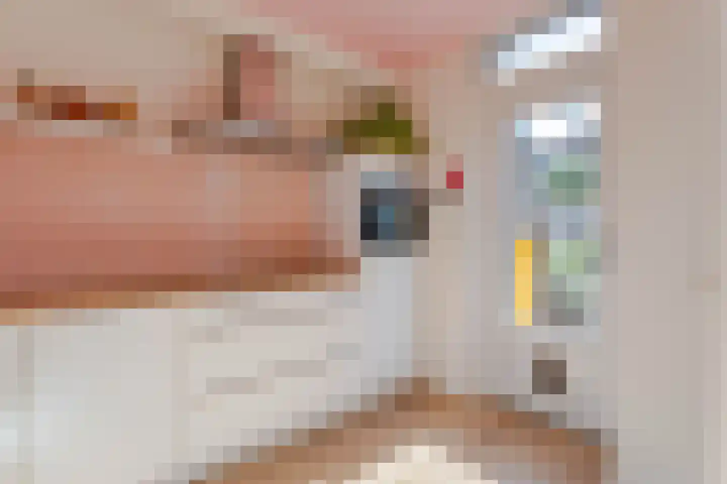 Tesselschadelaan 15 Waddinxveen thumbnail 8