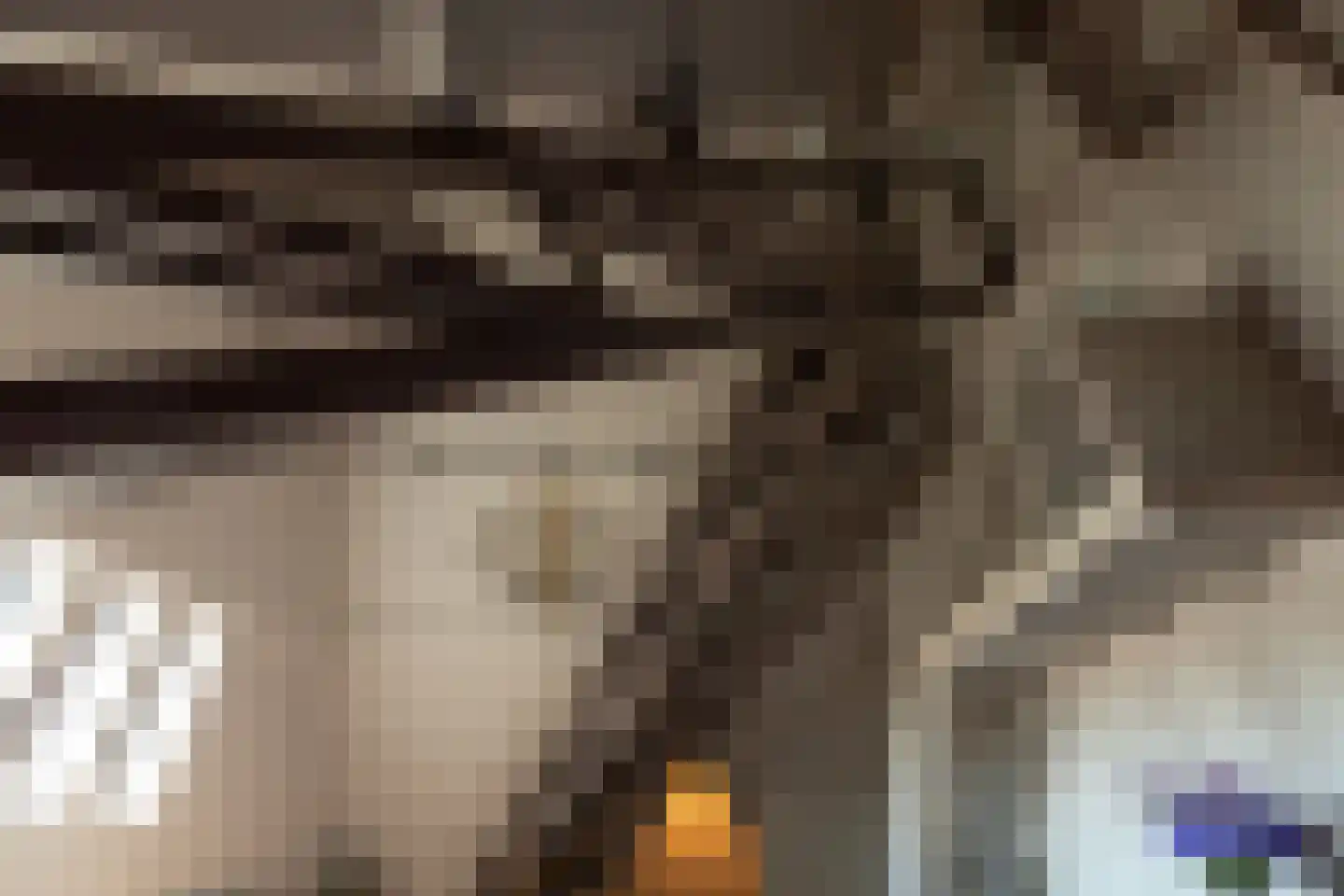 Tesselschadelaan 17 A Hilversum thumbnail 14