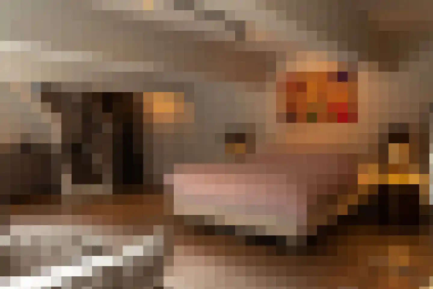 Tesselschadelaan 17 A Hilversum thumbnail 20
