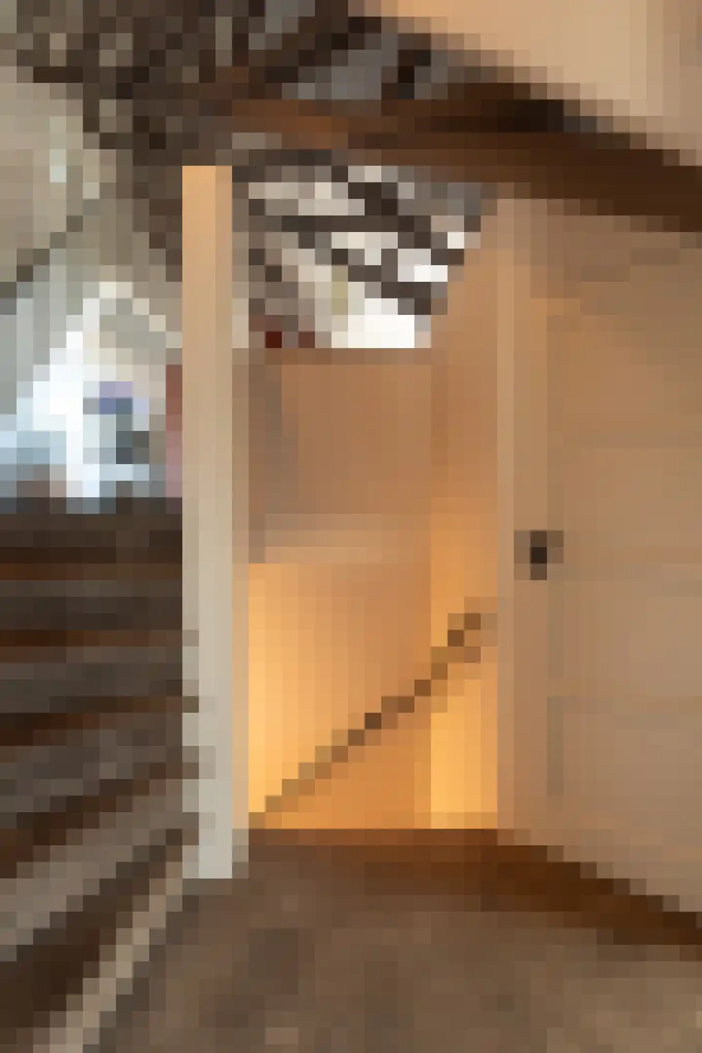 Tesselschadelaan 17 A Hilversum thumbnail 21