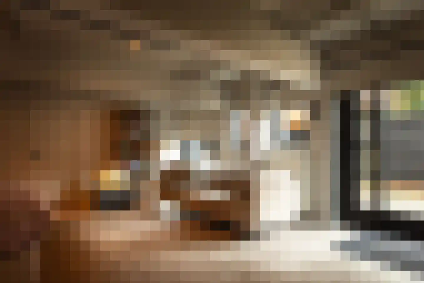 Tesselschadelaan 17 A Hilversum thumbnail 22