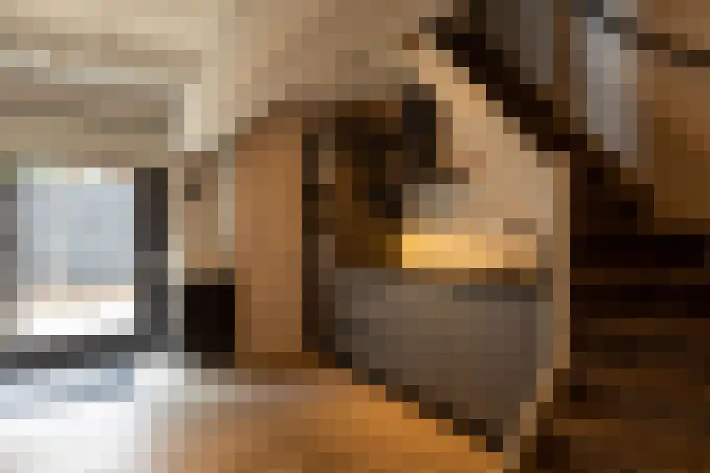 Tesselschadelaan 17 A Hilversum thumbnail 24