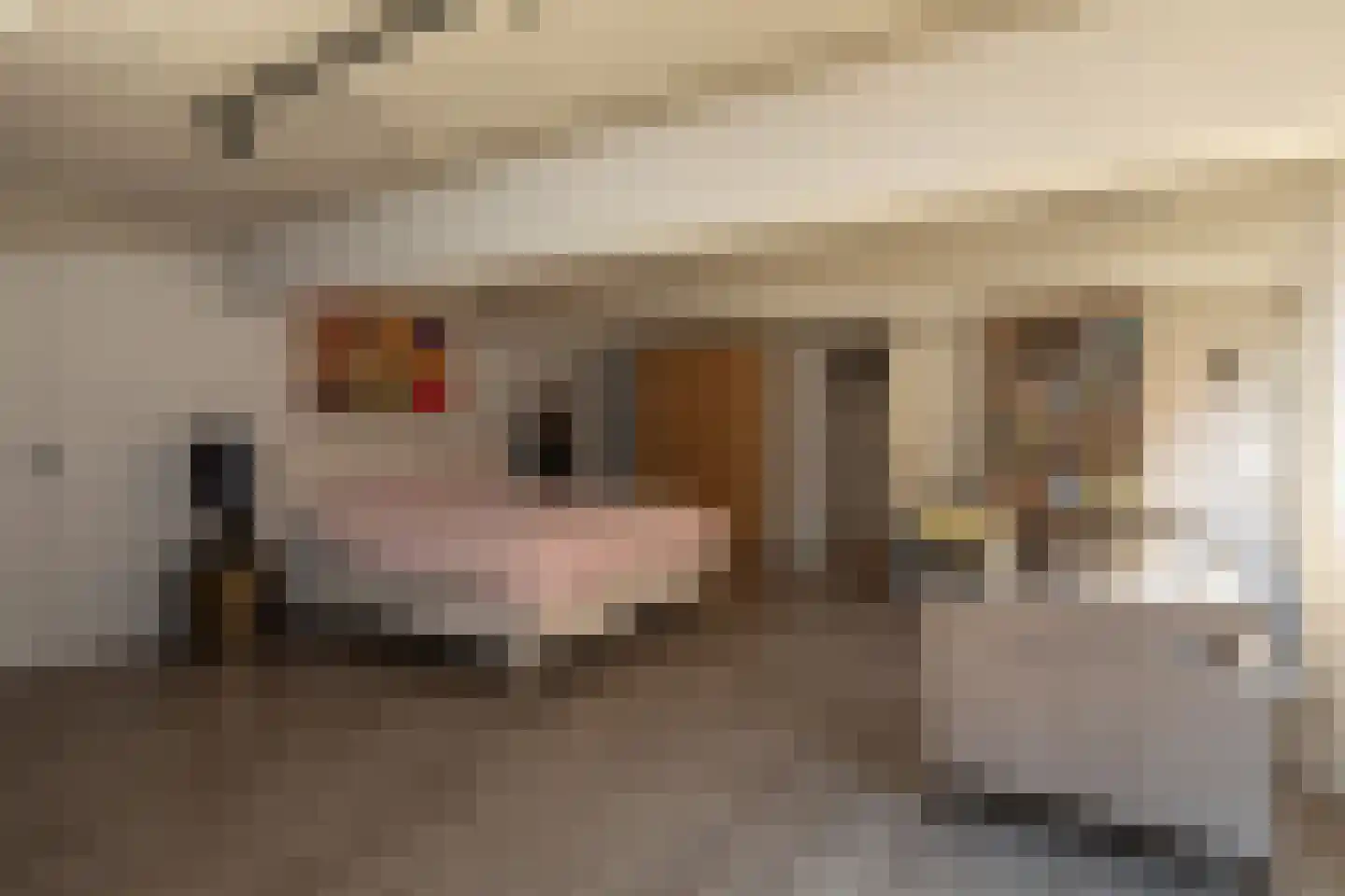 Tesselschadelaan 17 A Hilversum thumbnail 25