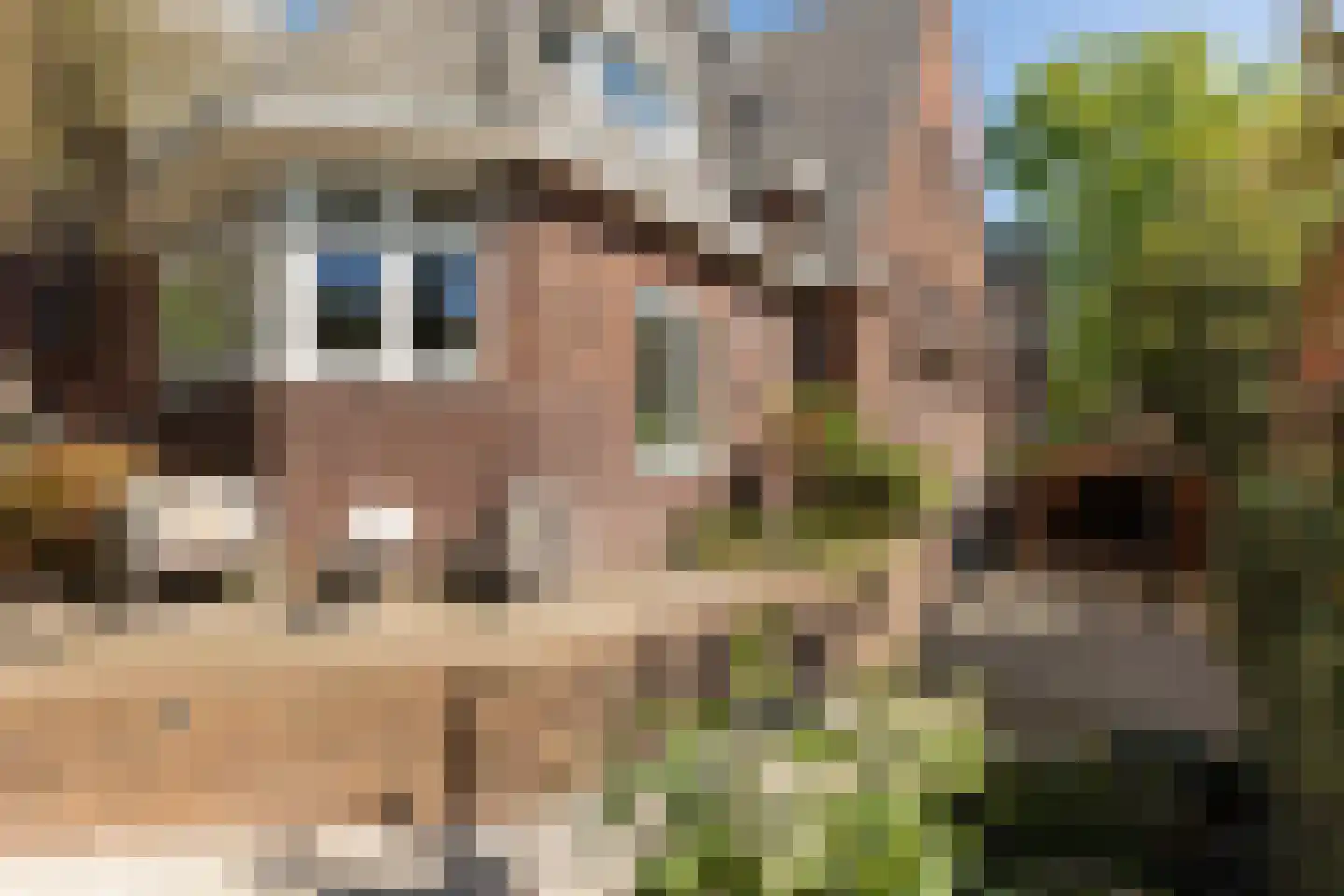Tesselschadelaan 17 A Hilversum thumbnail 26