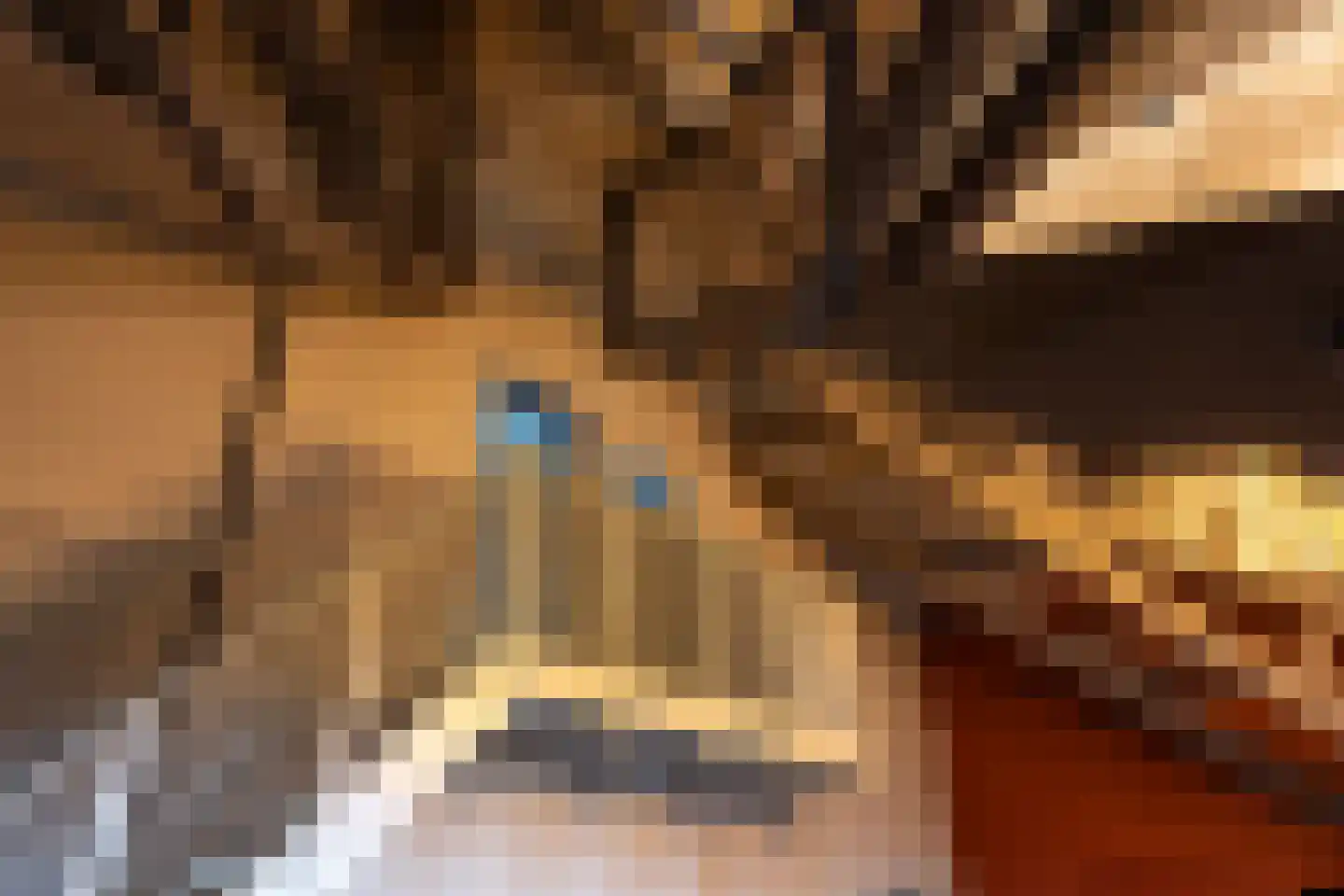 Tesselschadelaan 17 A Hilversum thumbnail 9