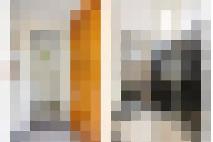 Tesselschadelaan 20 Hilversum thumbnail 13