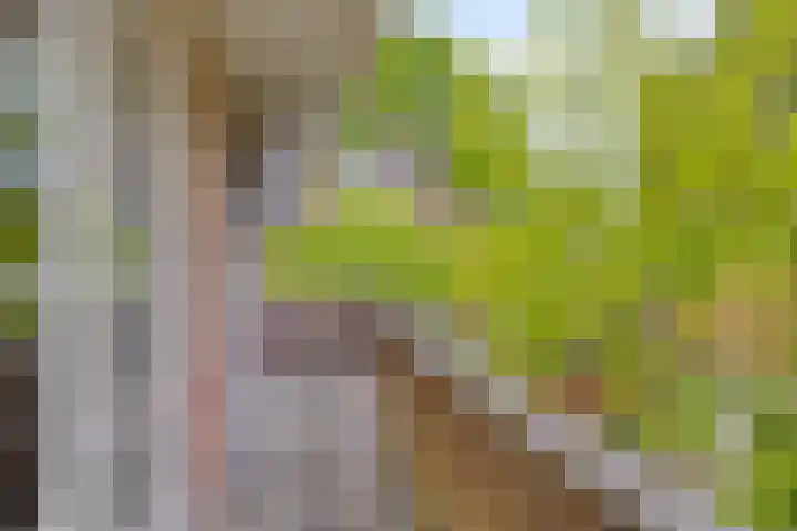 Tesselschadelaan 20 Hilversum thumbnail 23