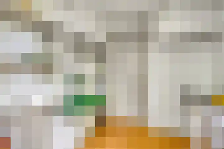 Tesselschadelaan 20 Hilversum thumbnail 26
