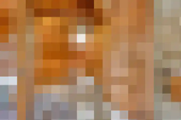 Tesselschadelaan 20 Hilversum thumbnail 28
