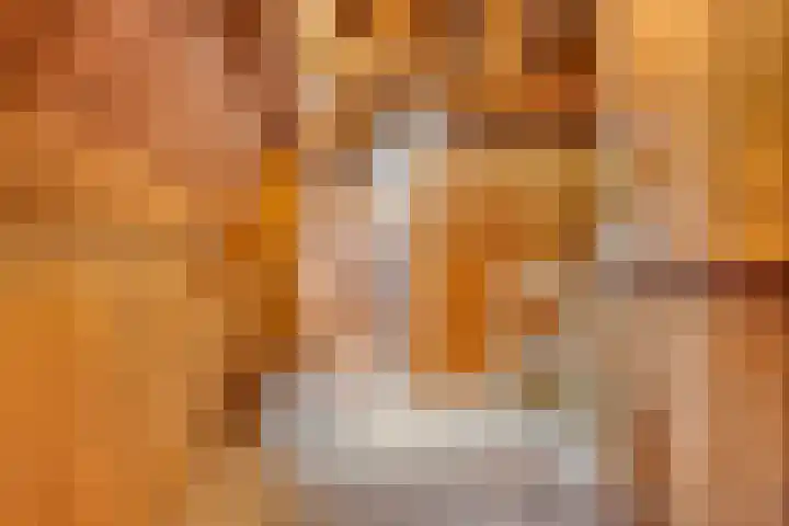 Tesselschadelaan 20 Hilversum thumbnail 30