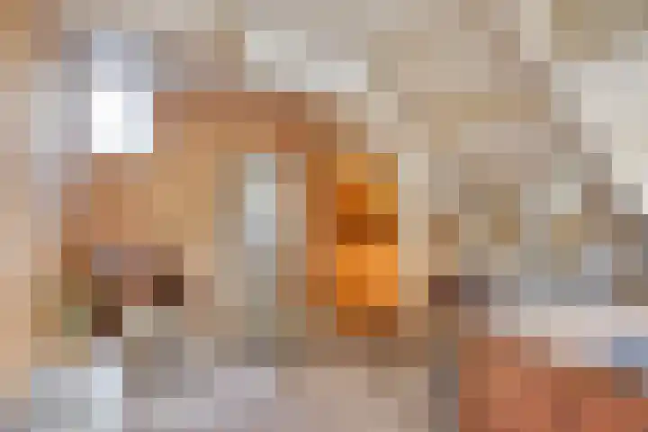 Tesselschadelaan 20 Hilversum thumbnail 34