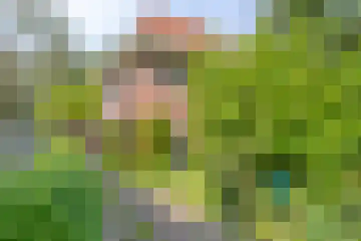 Tesselschadelaan 20 Hilversum thumbnail 38