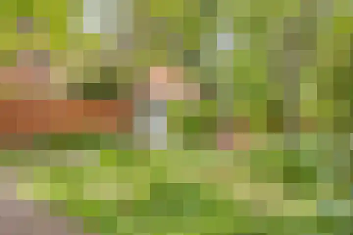 Tesselschadelaan 20 Hilversum thumbnail 39