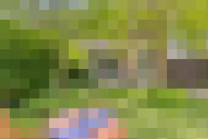Tesselschadelaan 20 Hilversum thumbnail 41
