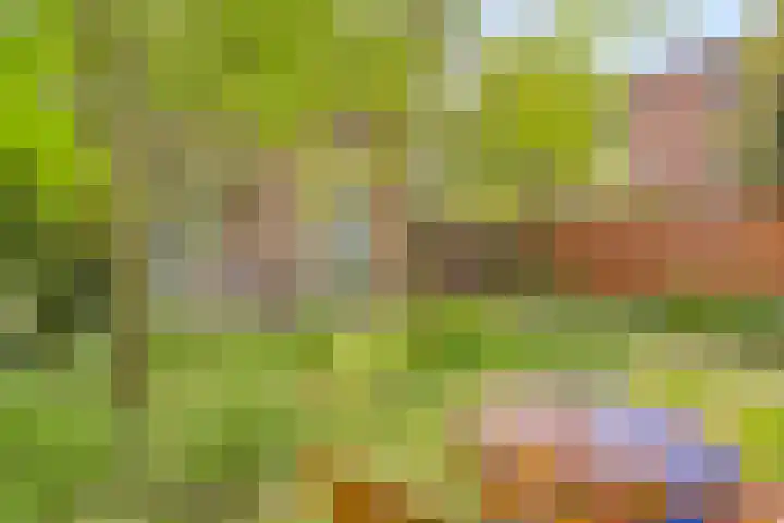 Tesselschadelaan 20 Hilversum thumbnail 42